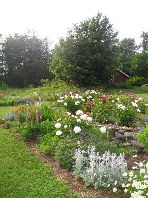 Cooper Hill Inn East Dover 외부 사진