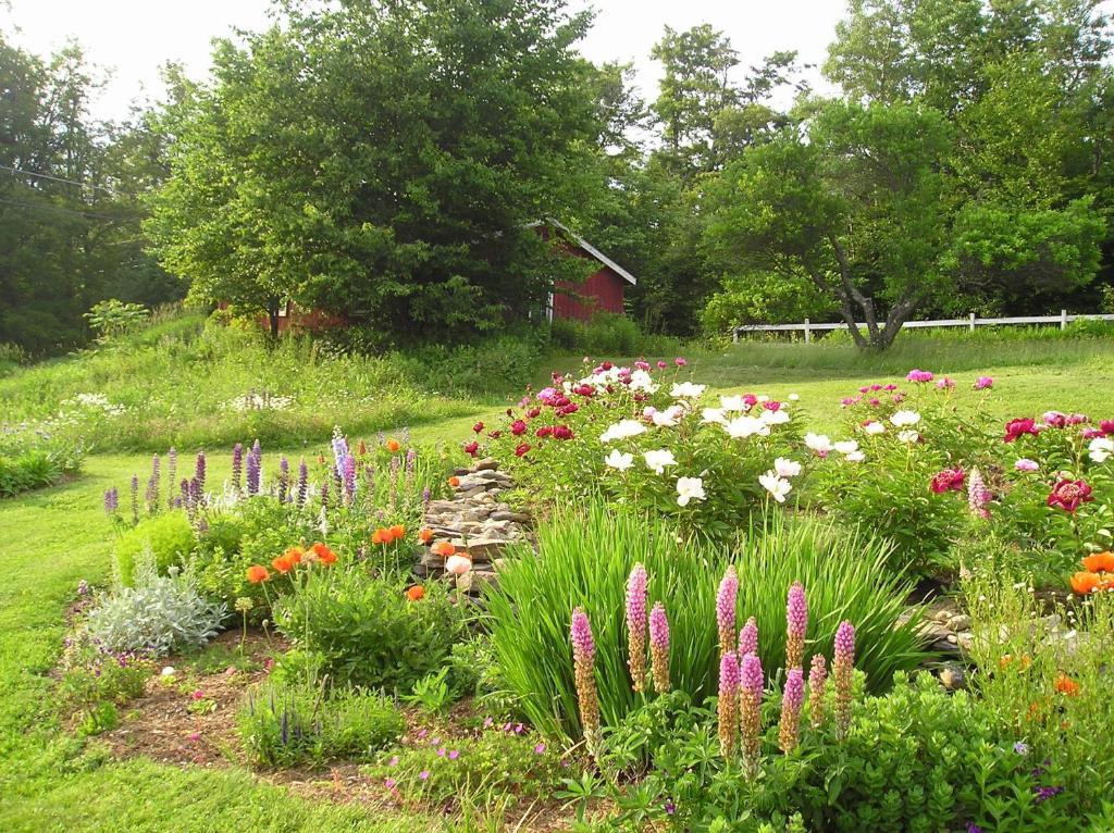 Cooper Hill Inn East Dover 외부 사진